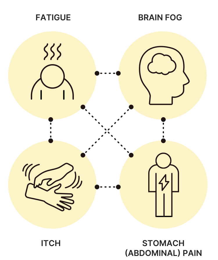 four icons expressing PBC symptoms: pain, brain fog,     itching, and fatigue