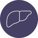 icon of PBC liver