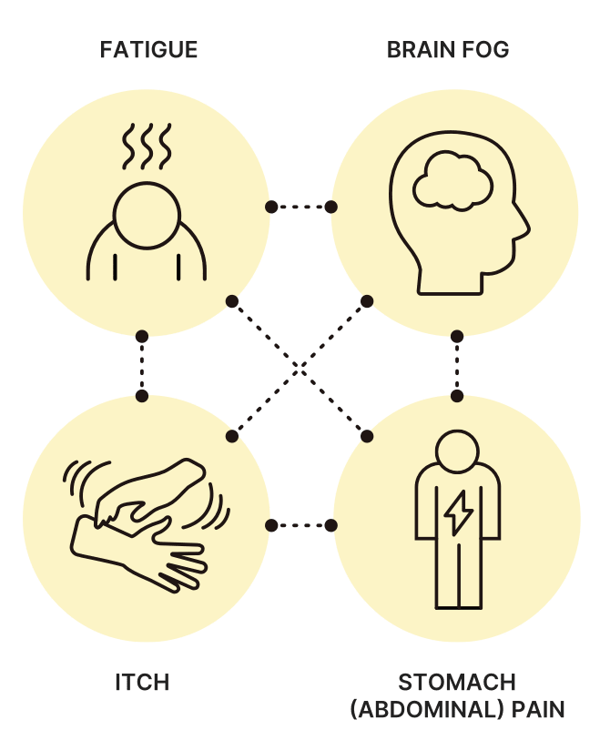 four icons expressing PBC symptoms: pain, brain fog, itching, and fatigue